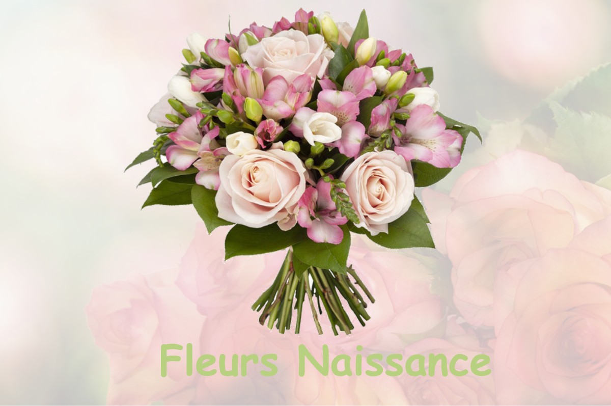 fleurs naissance LA-BOURDINIERE-SAINT-LOUP